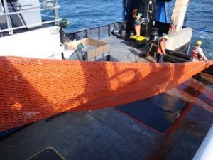 trawl net